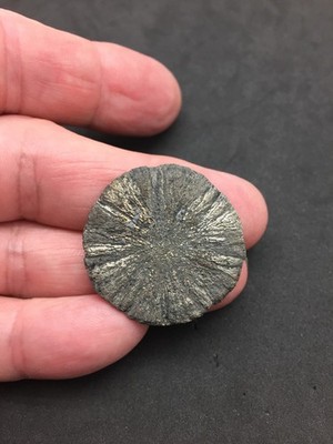 Pyrite Sun Miners Dollar 1 1/4'' Southern Illinois Coal Mine Mineral Specimen IL
