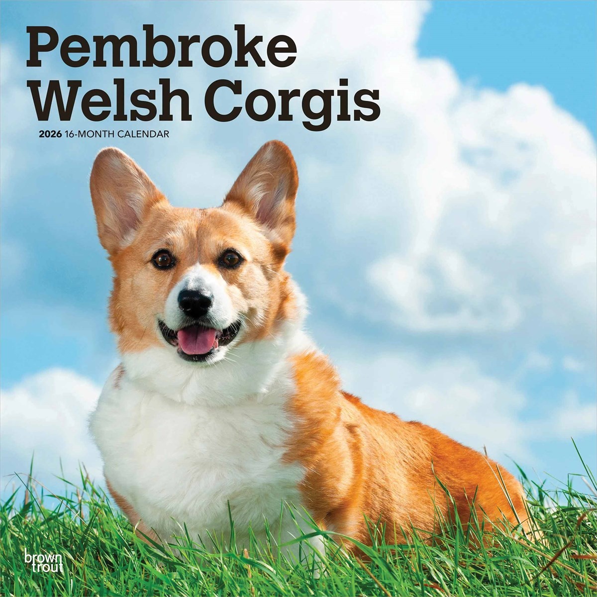 Pembroke Welsh Corgis Calendar 2026, Wall Calendars, Month To View, Dogs, Gift