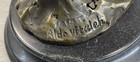 Bild 12 von 12