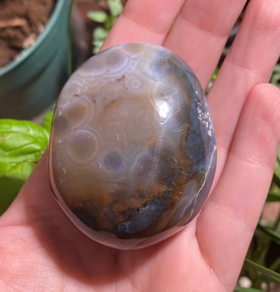 Ocean Jasper Madagascar/NEW 8TH VEIN!Palmstone/BEAUTIFUL/MAROVATO