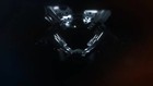 Video 1 von 1