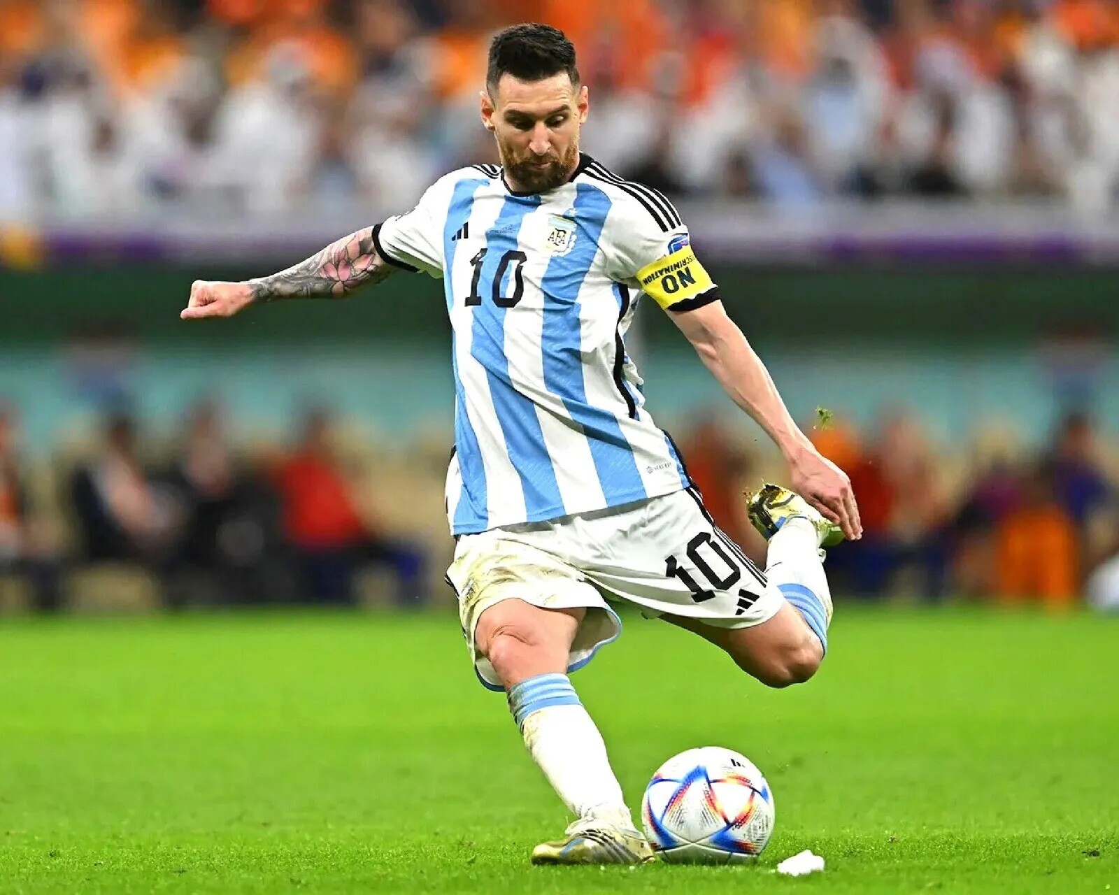 Lionel Messi Argentina FIFA World Cup Champions 8x10 Photo Print