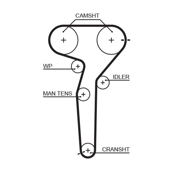 GATES-OE 5423XS Timing Belt for FIAT,LANCIA