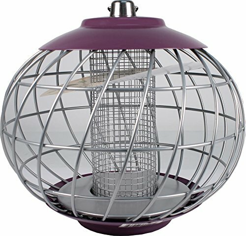 The Nuttery Nc021 Helix Peanut Sunflower Seed Feeder For Sale
