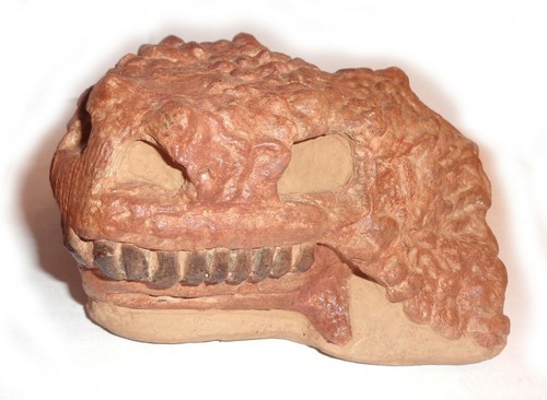 NEW!!! Fossil Replica, Pareiasaur, Permian, 260 ma, Kotelnich, Russia - Picture 4 of 9