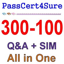LPI LPIC-3 Exam 300: Mixed Environments 300-100 Exam Q A SIM
