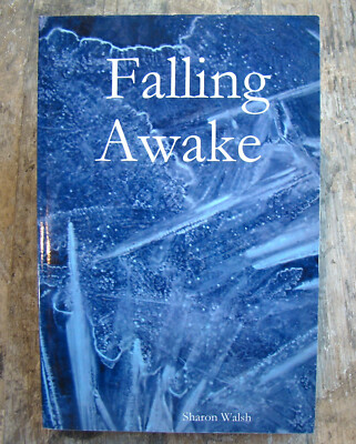Falling Awake ~2005 PB~ Sharon Walsh SIGNED Road Trip Mental Therapy Love Novel