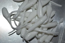 JASONS 2" STINGER SHAD 30 PACK GRUBS CRAPPIE LURES JIGS  WHITE