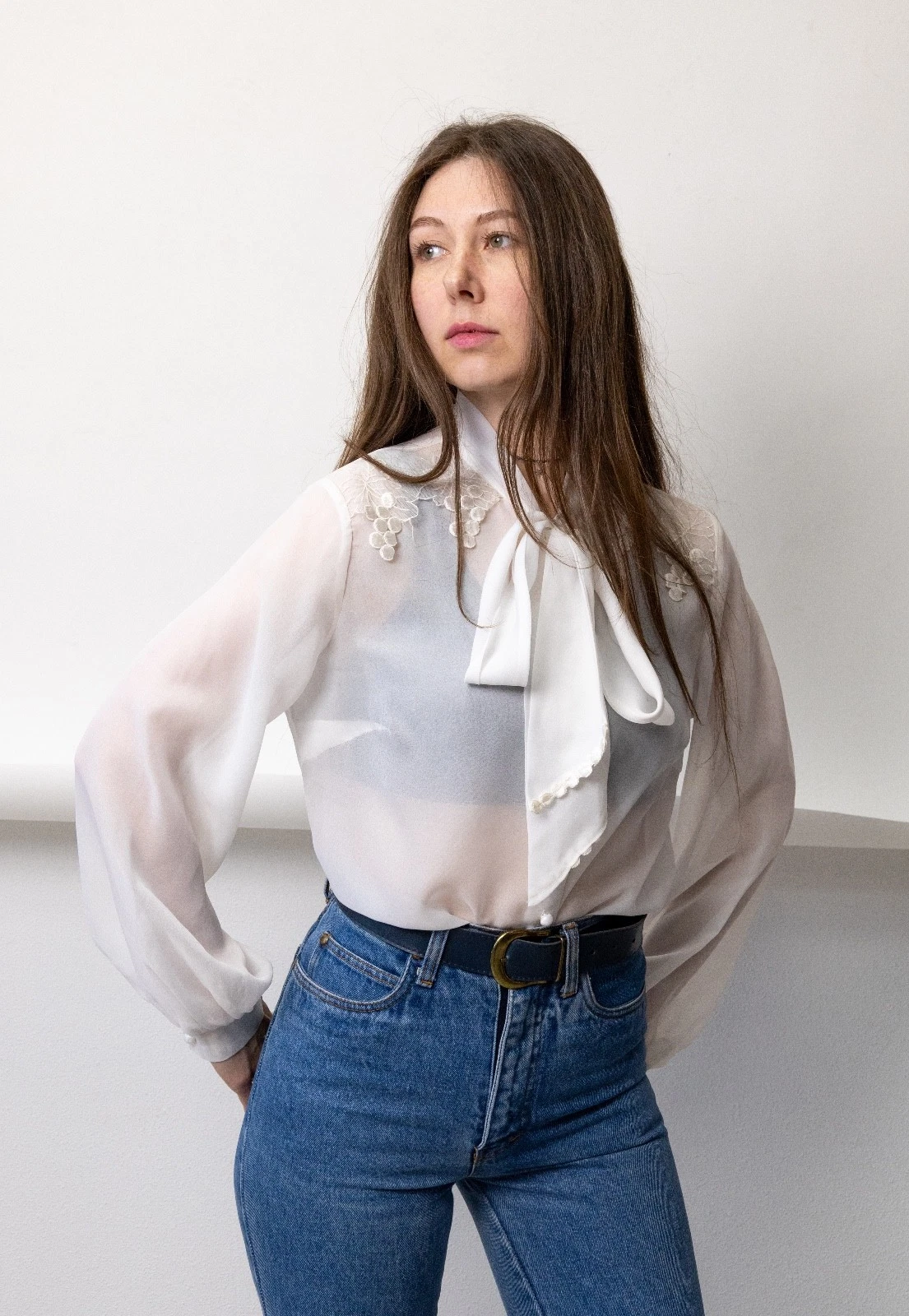 Vintage 90s Ivory Sheer Chiffon Blouse Pussy Bow Lace Coquette Balletcore Womens