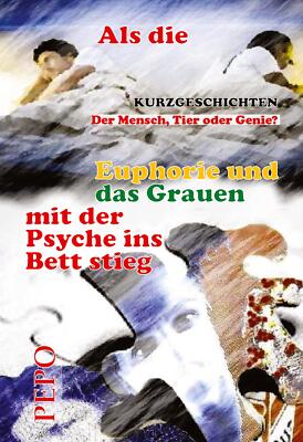 Als die Euphorie und das Grauen mit der Psyche ins Bett stieg | Buch | 978334749