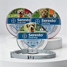 Cats  Dog Collar Adjustable Soft Durable Comfortable Pet Collar