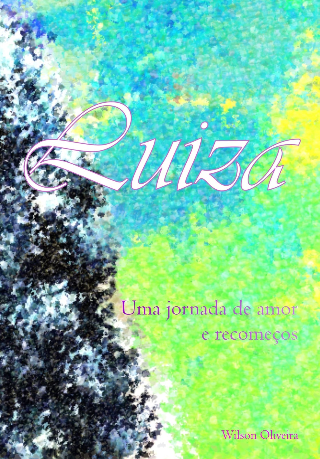 Wilson de Oliveira Luiza (Paperback) (UK IMPORT)