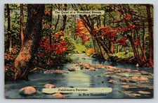 Vintage Linen Postcard Fisherman's Paradise Woodland Stream NH 1930s