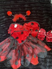 Baby Girls Halloween Ladybug 6 M Costume