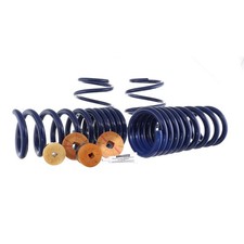 Ford Performance Mustang Lowering Springs
