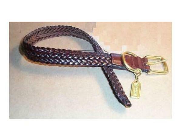 coach dog collar large