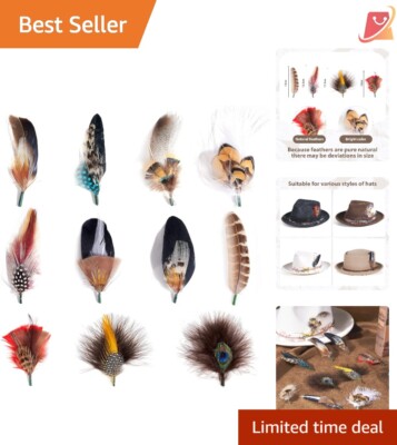 Hat Feathers Assorted Natural Feather Pack 11 Colors Craft Decor Accessories