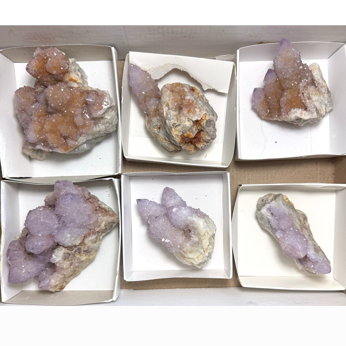 6-Piece Amethyst Spirit Quartz Crystal Set with Cactus Design TRFlat80