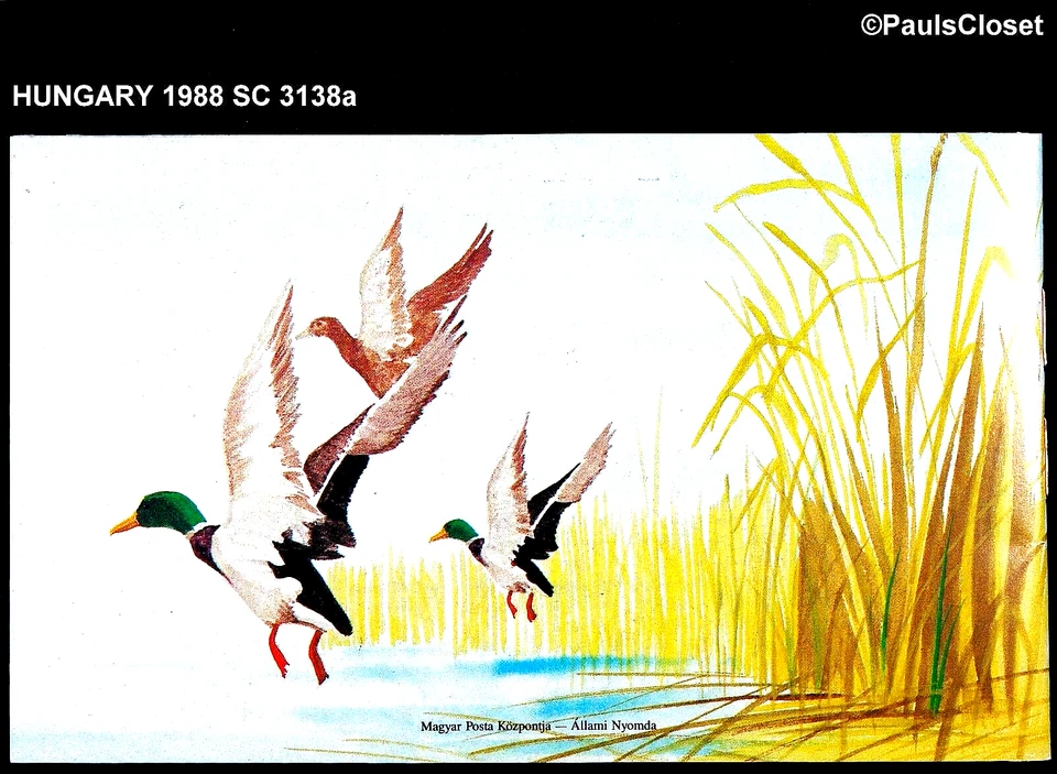 HUNGARY 1989 SC 3200a DUCKS 完整 STMP BKLET 3fo (10) & 5fo (10) 全新无标签 OG VF — 第 4/4 张图片