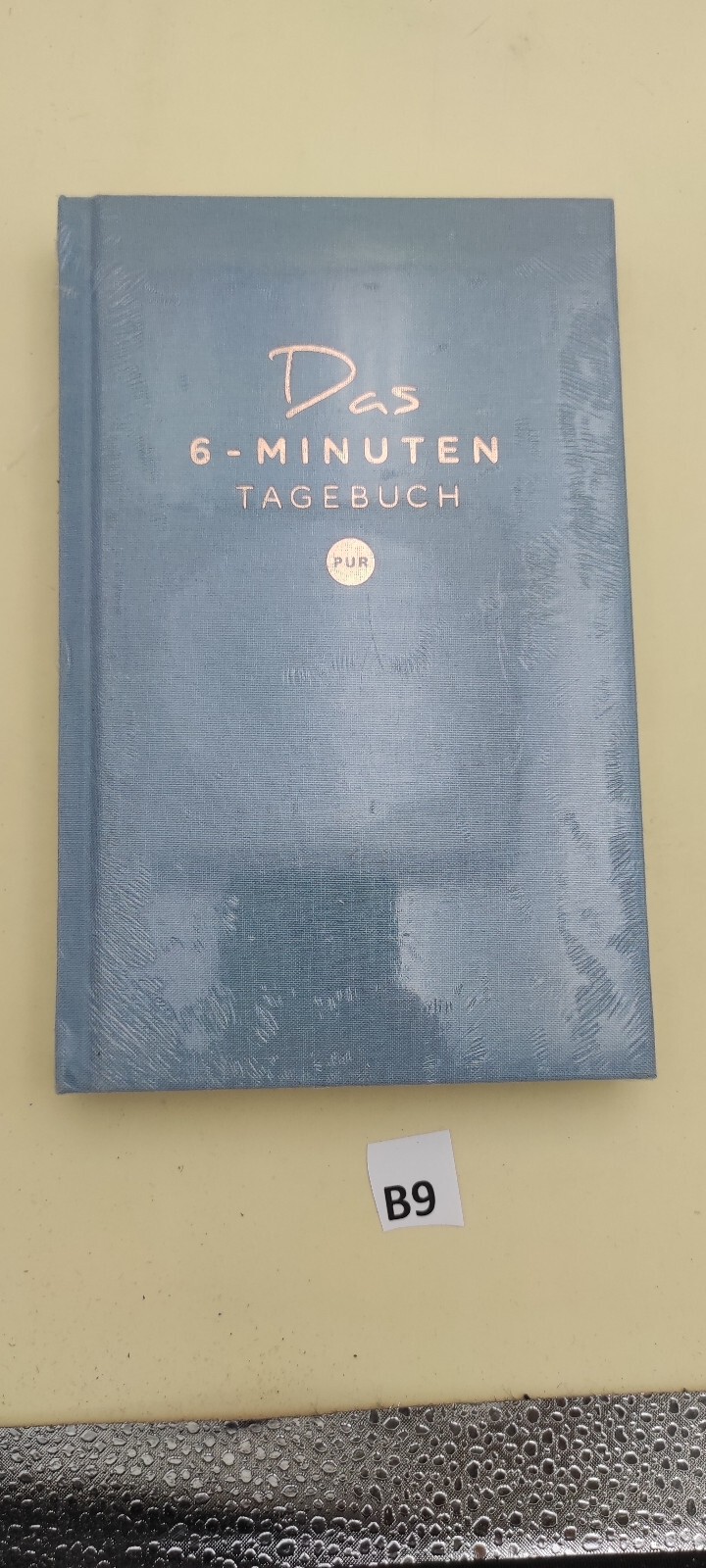 Thumbnail - Das 6-minuten-tagebuch Pur (aquarellblau) Von Dominik Spenst (2020,