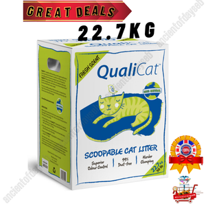 scoopable cat litter