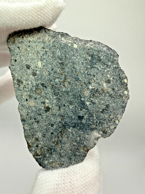 NWA 17909 NEW Diogenite Meteorite Beautiful Polymict Breccia 15.9 g polished end