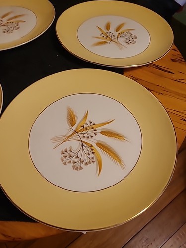 Vintage Century Service Semi-Vitreous 10” Dinner Plates Autumn Gold Set Of 4 - Picture 4 of 10