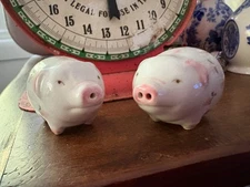 Pig Salt and Pepper Shakers-White, Pink & Green - Unbranded