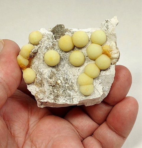 Wavellite, National Limestone Quarry, Mt. Pleasant Mills, Snyder Co., PA, #wav6 - Picture 2 of 4