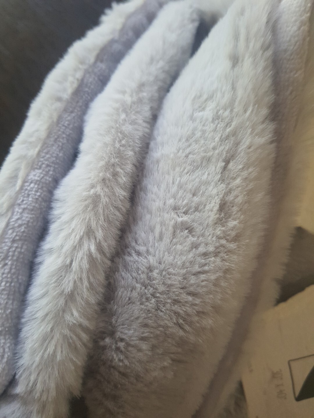Picture 6 of 6
