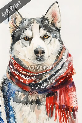 #ad Dog Siberian Husky in holiday sweater watercolor Art 4x6 Print $8.40