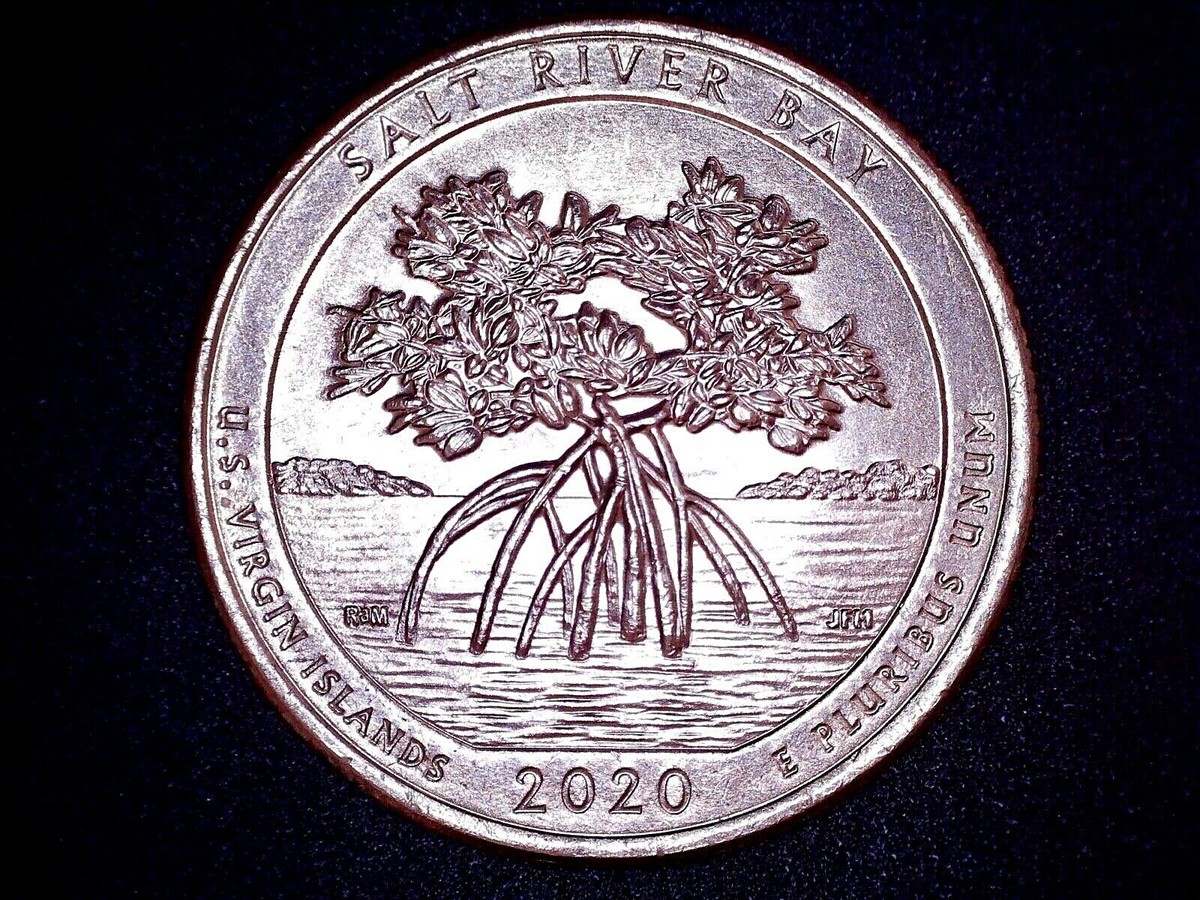 2020 P Salt River Bay Error Quarter - DDR Doubled Die 2020 P Salt River Bay Error Quarter - DDR Doubled Die