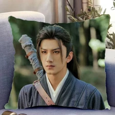 The Lotus Casebook Cheng yi 成毅 Li Xiangyi Pillow Cushion Bedroom 40*40cm