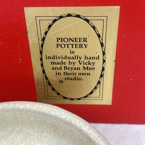 New Zealand Pottery Pioneer V & B Mee Bowl Vintage Boxed Ironstone Kiwi, Gift - Picture 5 of 24