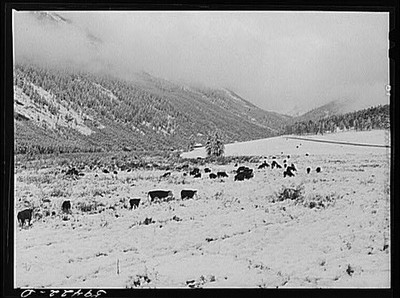Ashcroft,Colorado,CO,Pitkin County,Farm Security Administration,1941,FSA,28 1