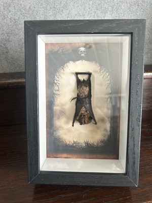 Wanddeko Fledermaus in Objektrahmen Bat Gothic schwarz tiefer Bilderrahmen Deko