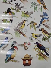 Lot Of 12 Vintage Smokey The Bear posters (20”x30”)