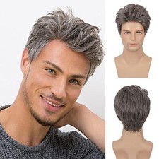 6in Men's Short Brown Gray Wig Full Wig Heat Resistant Synthetic Party Daily