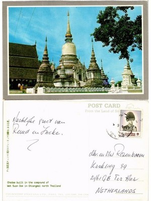 CPM THAILAND-Chiangmai-Wat Suan Dok-Chedee (335036)