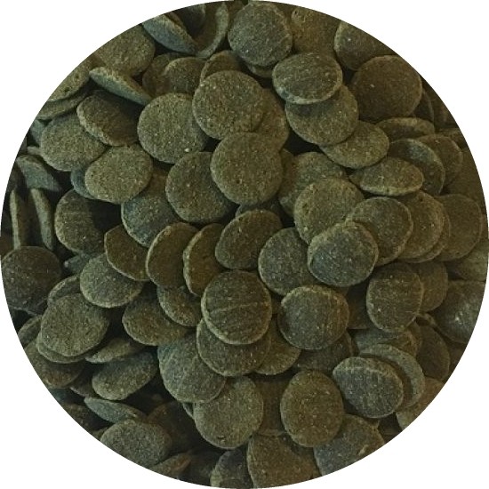 Fischfutter Futtertabletten Wafer Mini Spirulina-Algen Wafer Welstabletten100 Ml-image