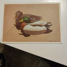 Blank Inside Vintage Duck Cards 1987 Made In The USA By Cape Shore No Envelopes