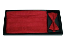 Men's Red Paisley Silk Bow Tie and Cummerbund Set