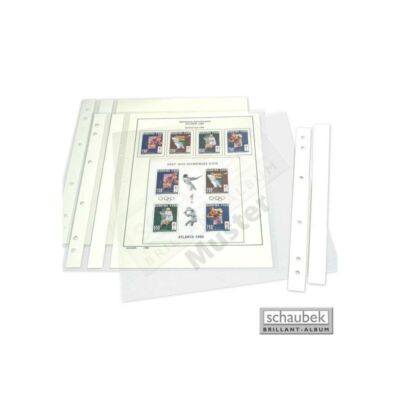Schaubek Blankoblätter für Computer-Ausdruck (50 Blatt) CB810-2 Neu