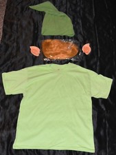 Link From Zelda Shirt Wig Ears Hat Halloween Costume Kid Boys Size 10-12 L Youth