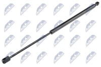Heckklappen DäMpfer Gasfeder Kofferraum NTY AE-FT-034 FüR Fiat Idea Van 16V LPG