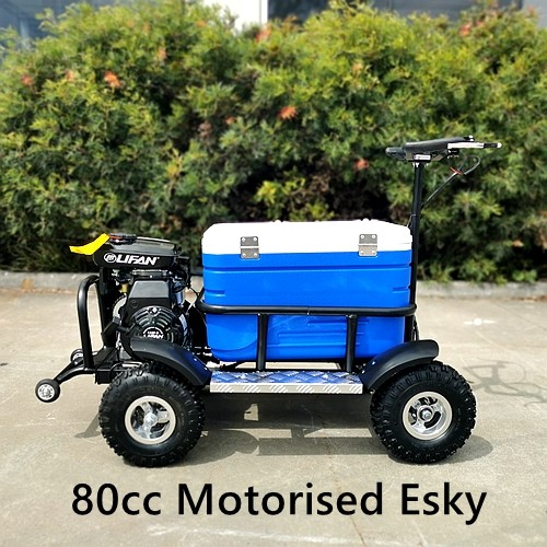 80cc Motorised Esky Cooler Scooter Wheel Motorbike Atv Quad