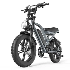 1500W Electric Bike 20" Fat Tire 48V 15AH Removable Battary Mountain E-Bike
