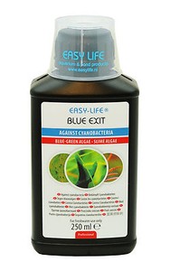 algae remover fish tank