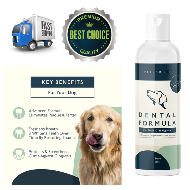 Dental Care Water Additive For Dogs Dog Plaque Remover