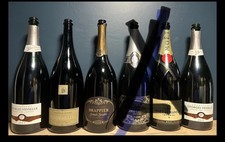 Champagner Magnum Flaschen ( LEER !!!)